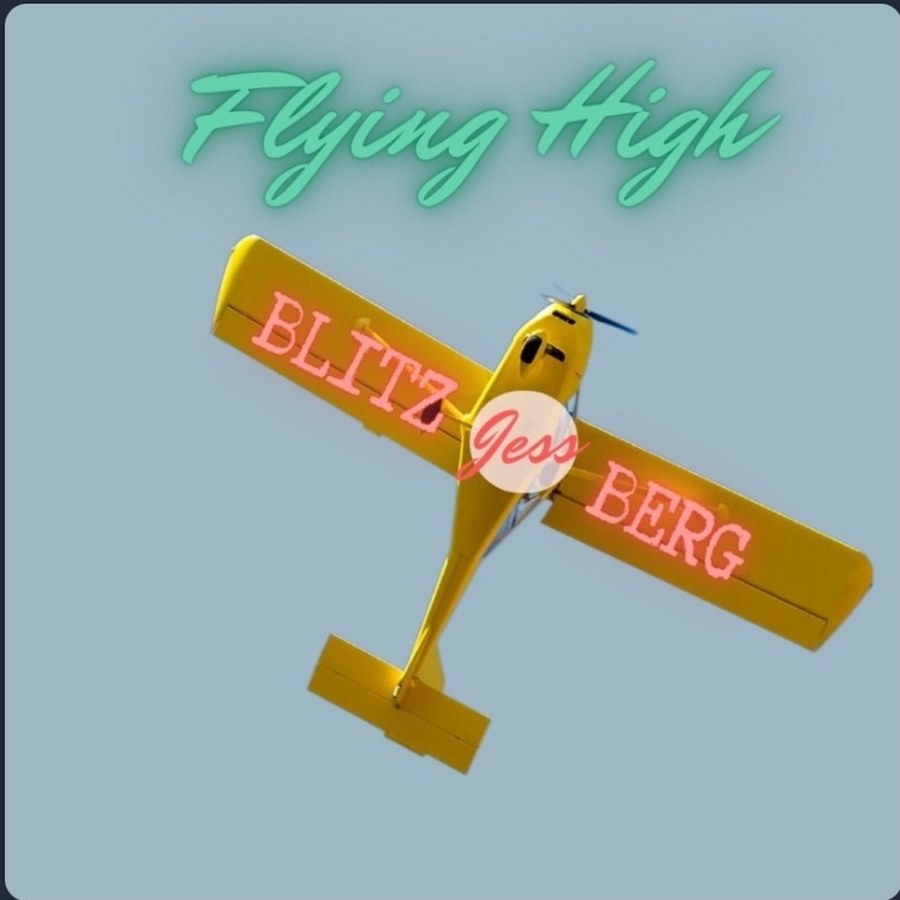 Flying High cover art